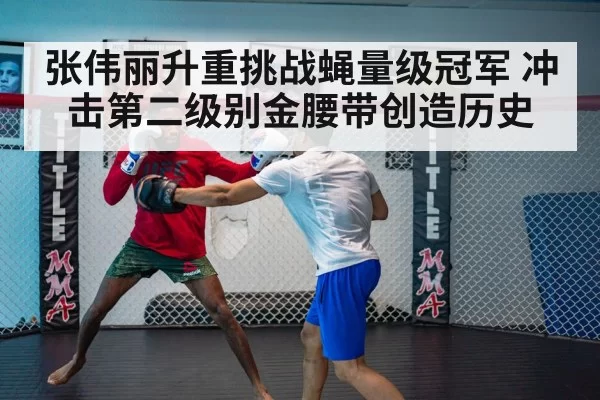 张伟丽升重挑战蝇量级冠军 冲击第二级别金腰带创造历史